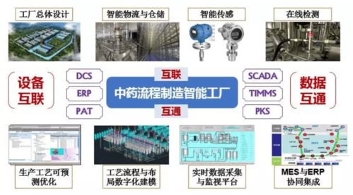 中藥智能制造與旅游開(kāi)發(fā)項(xiàng)目案例精選 規(guī)劃設(shè)計(jì)、技術(shù)應(yīng)用與策劃咨詢