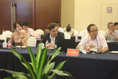 中信國安北海生態旅游項目設計中期發布會成功召開，擘畫文旅融合新藍圖