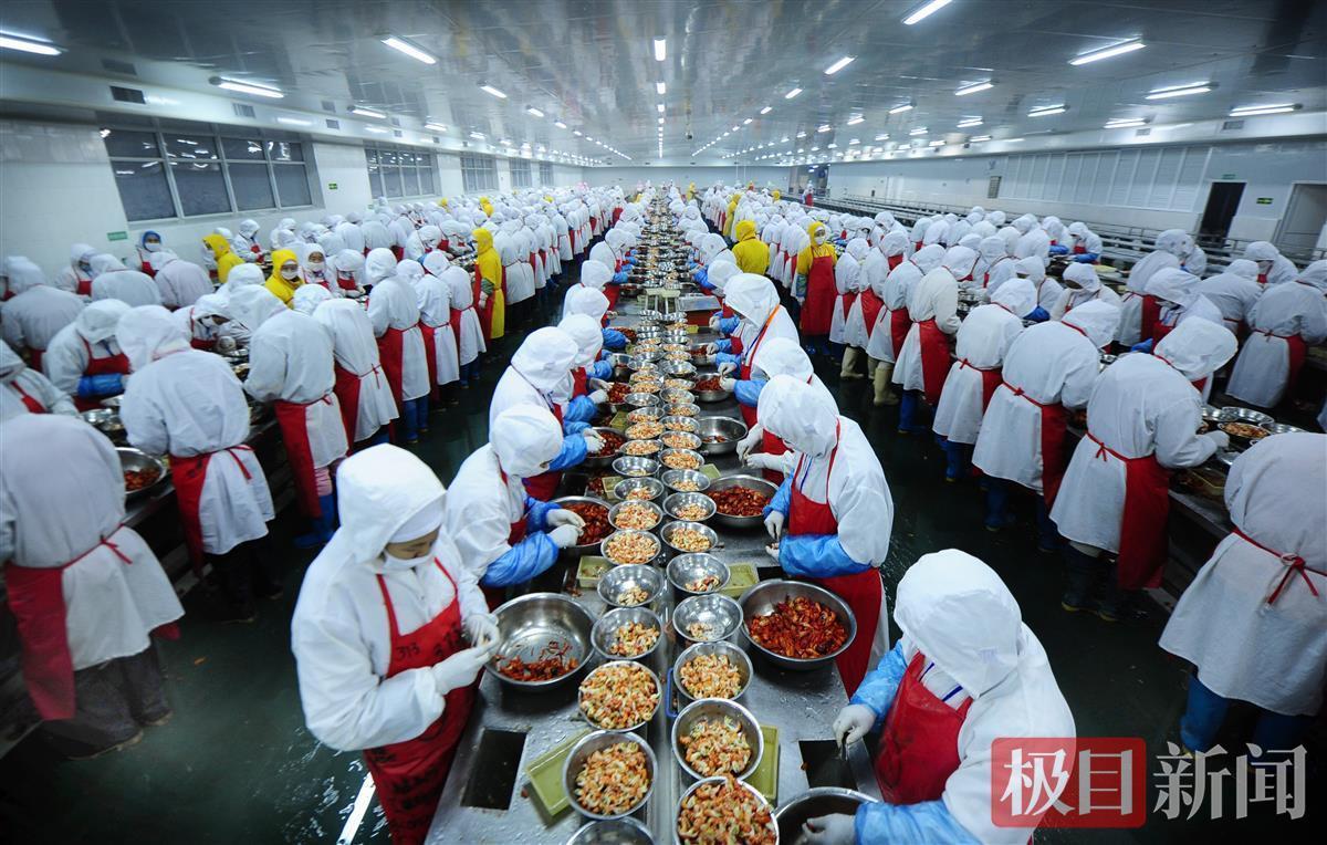 “一紅一綠”撬動(dòng)富路 潛江兩只蝦的戰(zhàn)略密碼