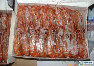 牡丹蝦市場(chǎng)行情與生產(chǎn)廠家信息匯總